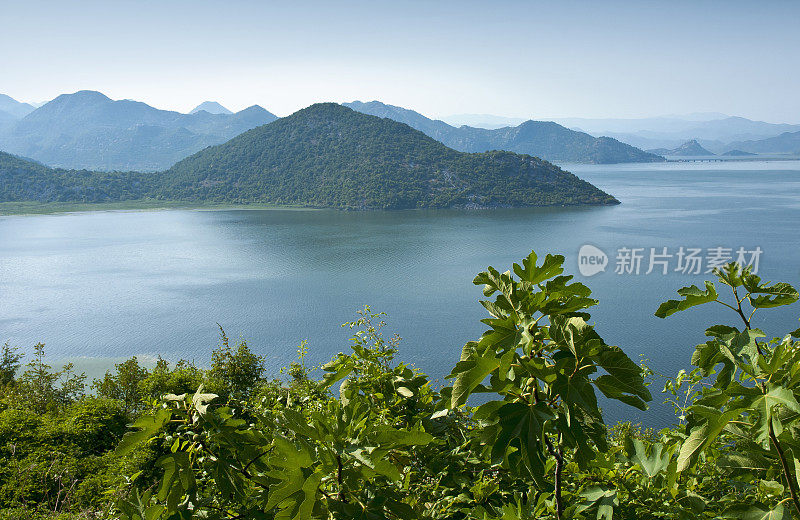 景色优美，斯卡达尔湖(Skadarsko Lake)，巴尔干半岛，黑山-斯卡达尔湖是欧洲最大的湖泊之一。是野生动物，尤其是鸟类的圣地。